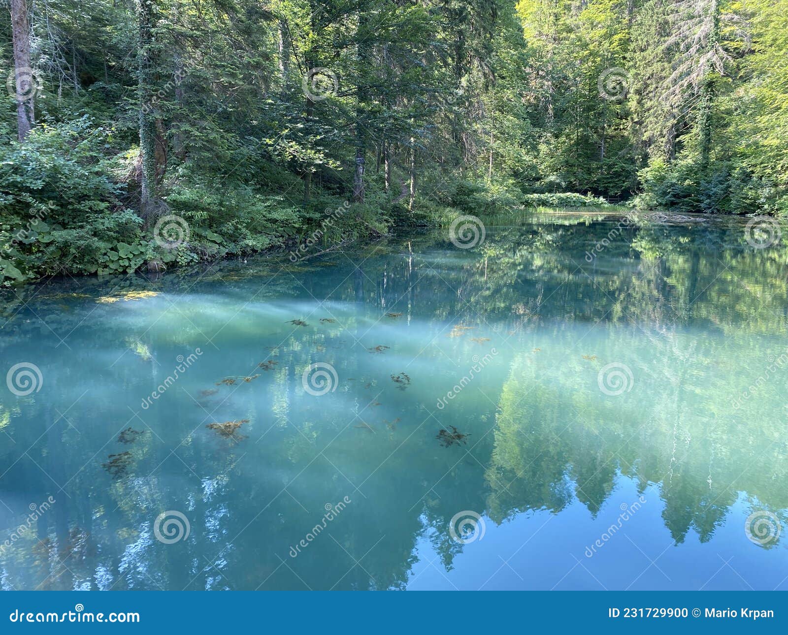 small forest spring ÃÅogrljevo lake or ÃÅogrlje`s lake in the hamlet of tiÃâ¡i - gorski kotar, croatia / goransko ÃÂ¡umsko jezerce